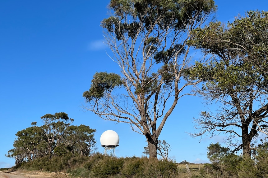 A weather radar that looks like a golf ball in a country area on a sunny day.