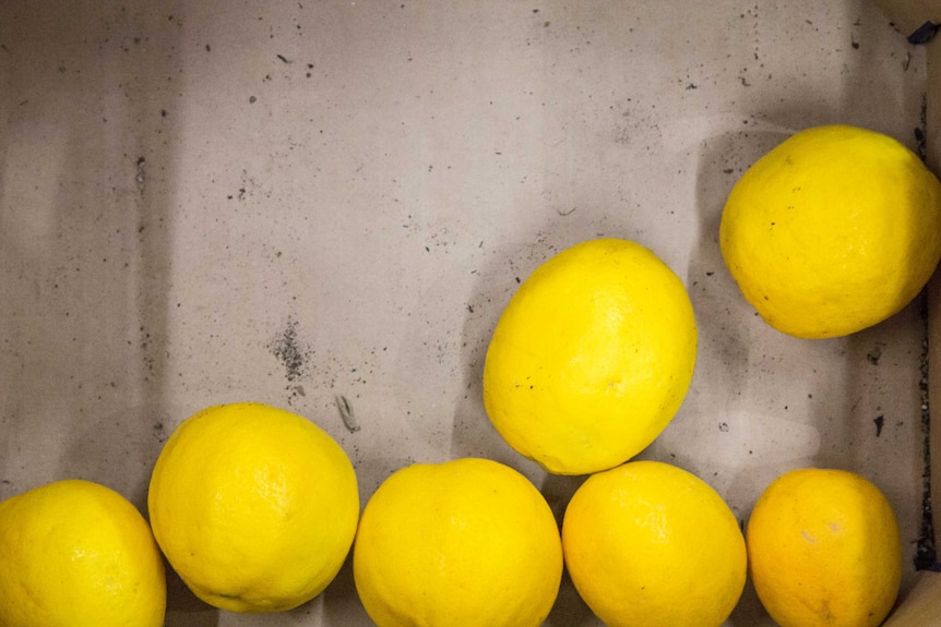 Lemons in a cardboard box