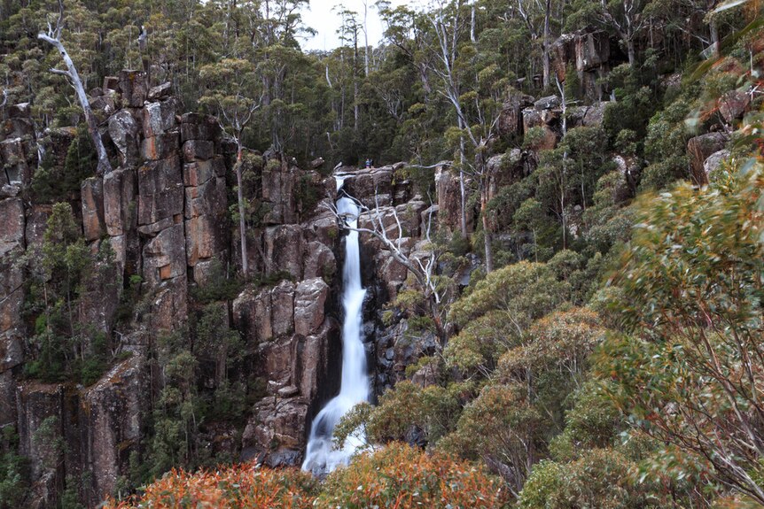 Water cascading over a rock cliff in green bushland with gum trees in the foreground