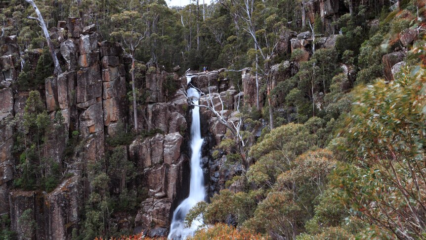 Water cascading over a rock cliff in green bushland with gum trees in the foreground
