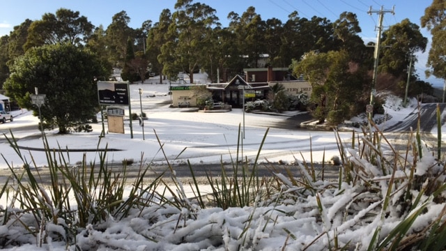 Snowfall at Fern Tree