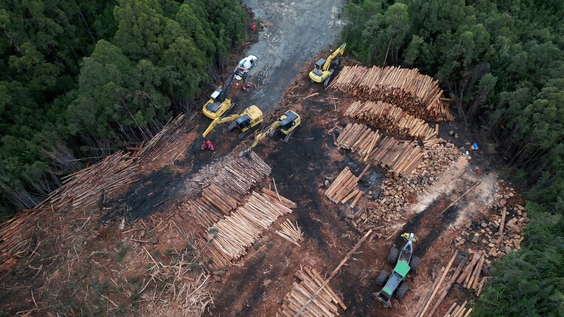 An aerial photo of piles of logs in a clearing surrounded by thick forest. Excavators with claw attachments can be seen.