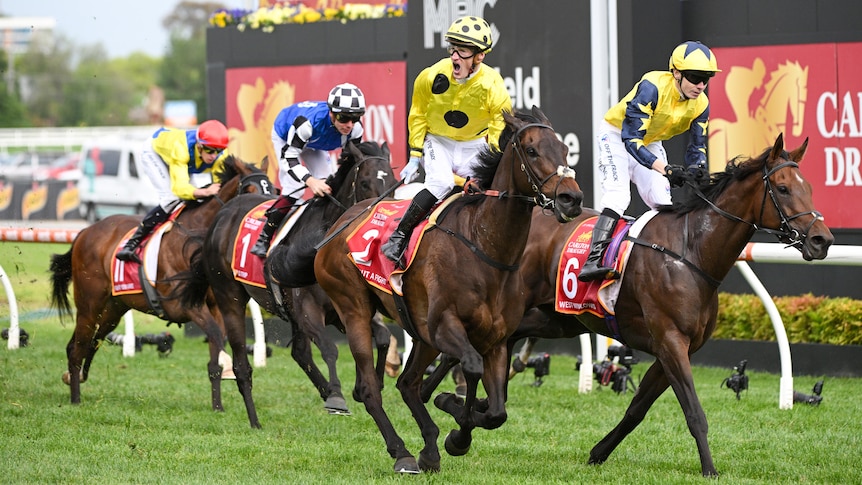The winning jockey looks sideways and roars in celebration as he passes the post, while the second horse runs on the inside.