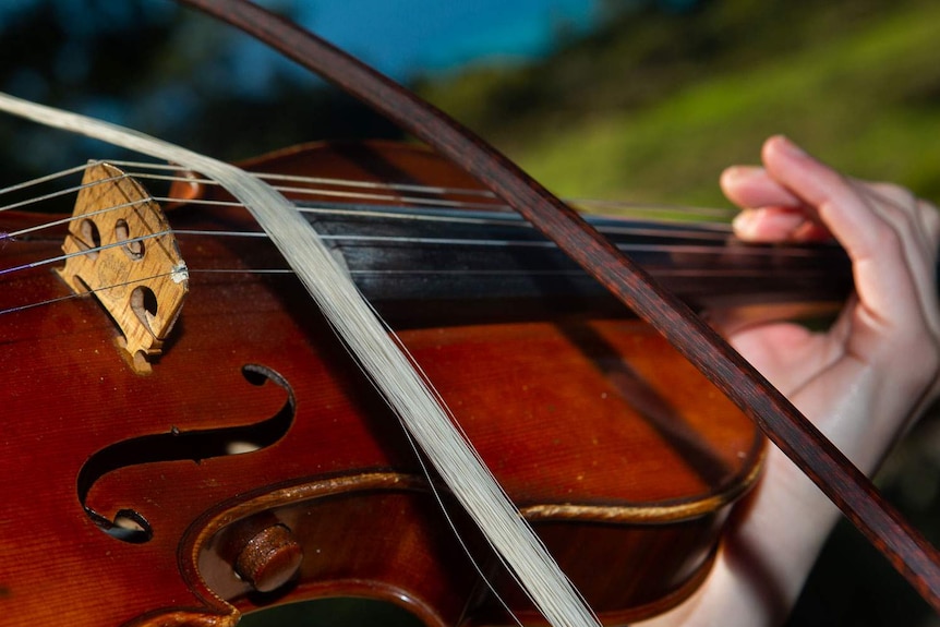 Close up on violin played with a slack-tensioned multi-cord bow