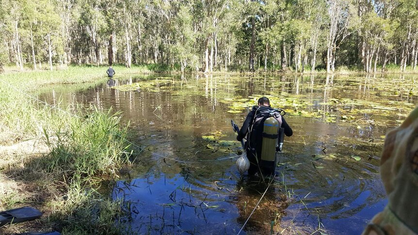 Police divers search Deagon wetlands, north of Brisbane, in homicide investigation for Wayne Youngkin