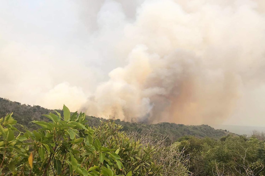 Smoke plume from bushfire coming over the hill at Cathedrals on Fraser Island.