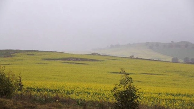 Rain drenches Wheatbelt