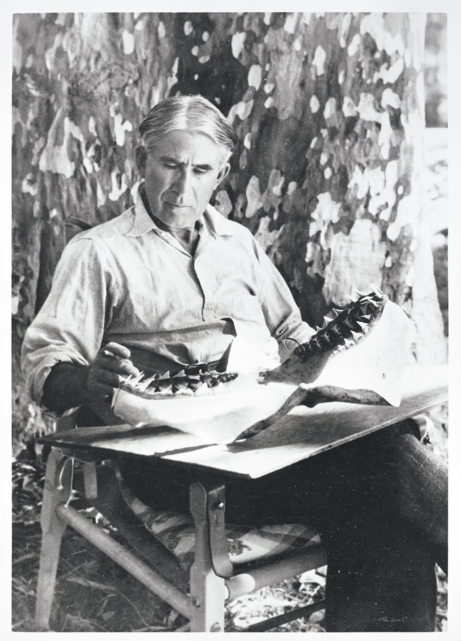 Zane Grey