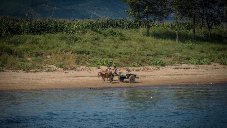 Two men stand with a cart and a cow on a river bank.