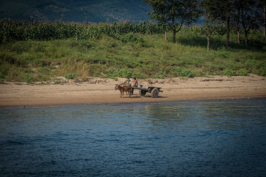Two men stand with a cart and a cow on a river bank.