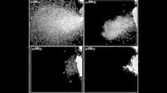 How effective are masks in stemming COVID-19?