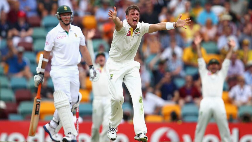 Australian bowler James Pattinson appeals