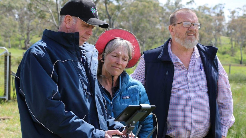 Rae Young (centre) watches as the drone is used over her sheep.