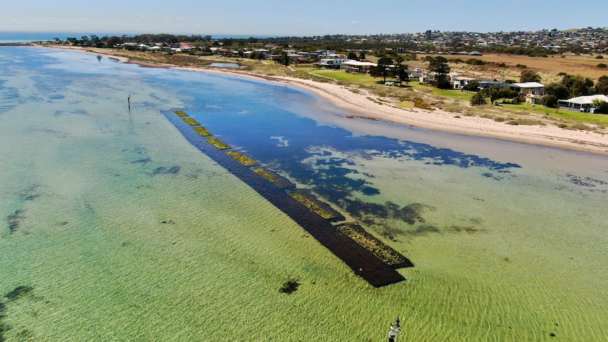 Aerial shot of a beach