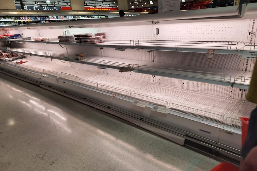 an empty supermarket with bare shelves