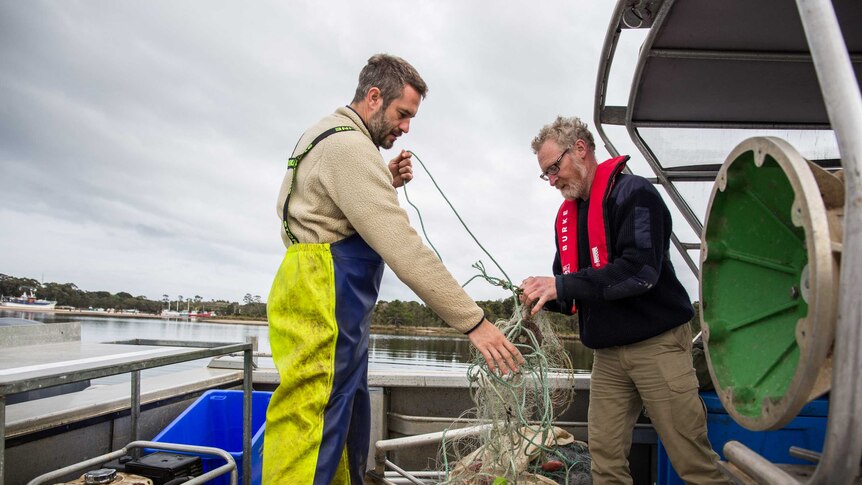 Two men hold fish nets in the back of a boat