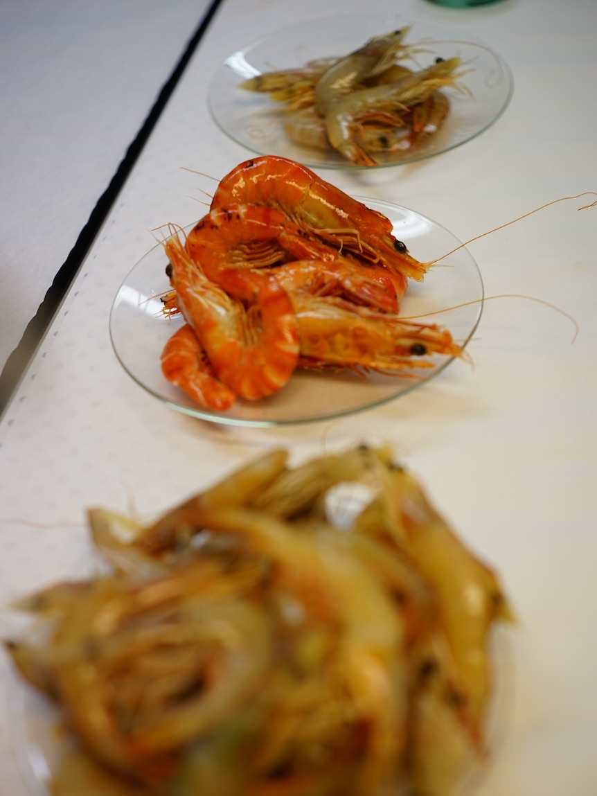 Glass bowls of prawns on a table.