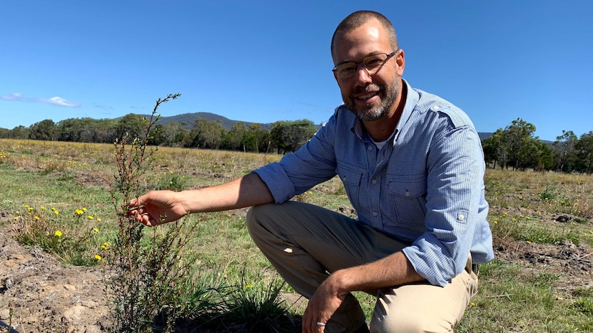 A man is kneeling touching a plant that produces manuka honey. He is wearing glasses and looking at the camera.