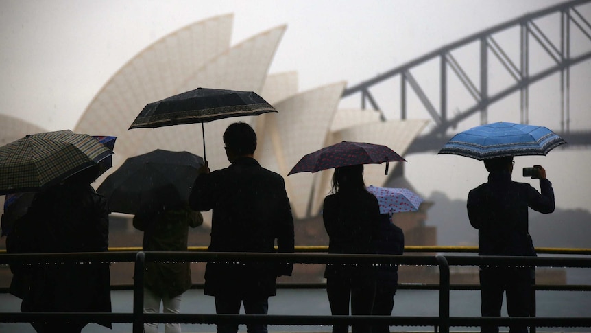 Tourist under umbrellas with Sydney Opera House in the background