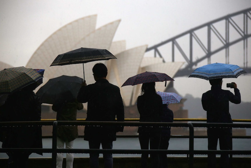 Tourist under umbrellas with Sydney Opera House in the background
