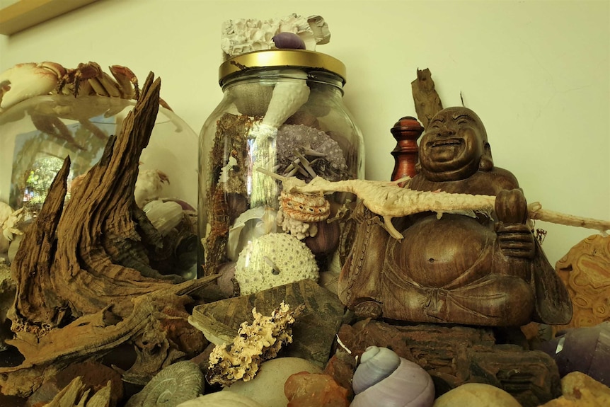 Ephemera collected from Nature including jars of shells, sea urchins, coral, wood, a sea-horse next to a wooden Buddha