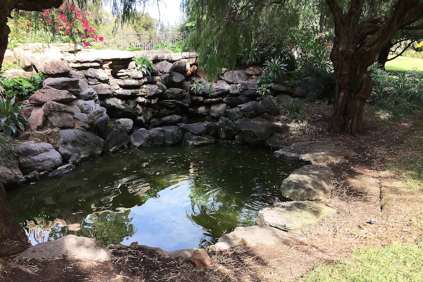 Veale Gardens pond from where a woman's body was retrieved