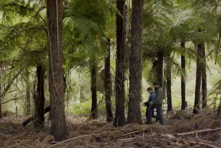 Dr Alex Maisey walks through Sherbrooke Forest in Victoria.