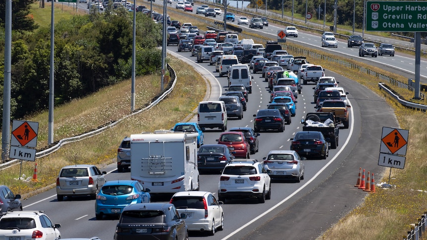 Gas guzzlers be gone! New Zealand will subsidise low-income earners to drive ‘clean’ cars