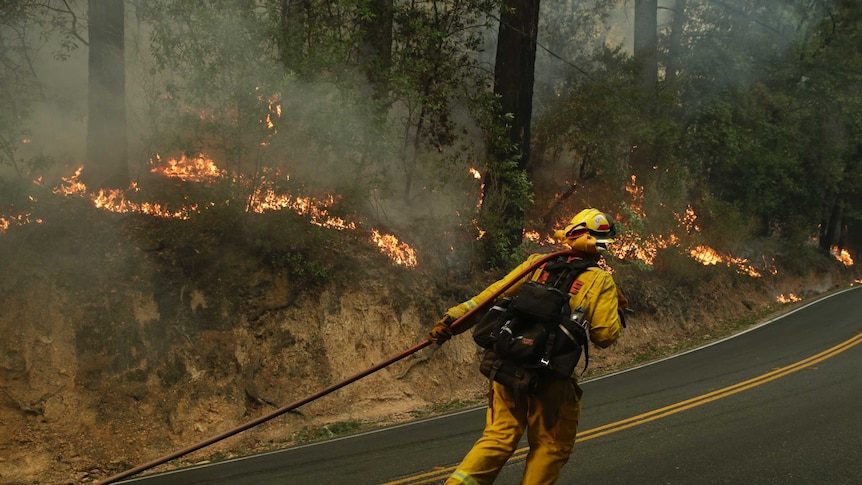Fires have burned for days near Santa Rosa, California (Photo: AP)