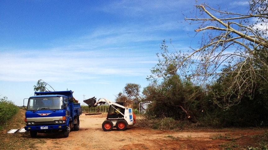 A small bobcat is loading a dump trunk with storm damaged branches.