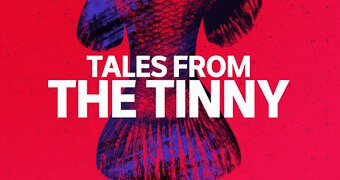 'Tales from the Tinny' branding - white block letters placed on a red background over the top of a drawing of a fish tail.