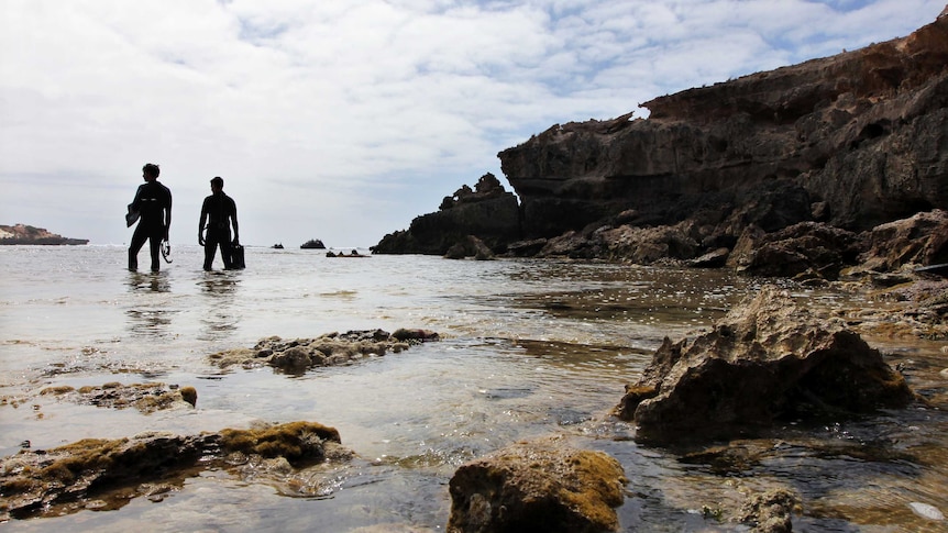 Divers at Carpenters Rocks