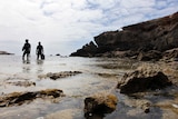 Divers at Carpenters Rocks