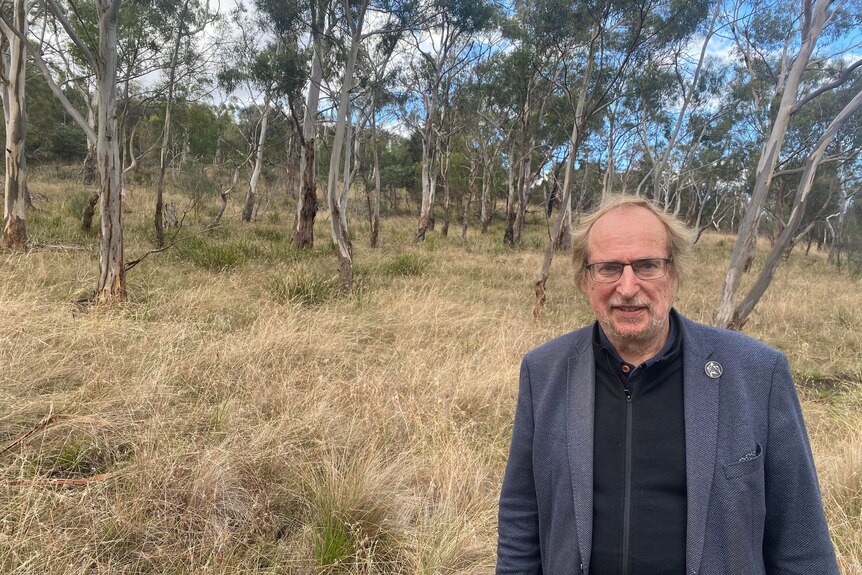 Older man in blazer stands in woody grassland
