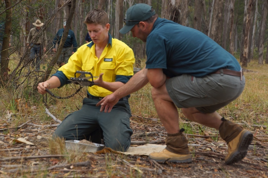 Participants in a pilot wild dog training program in Gippsland examine a trap.