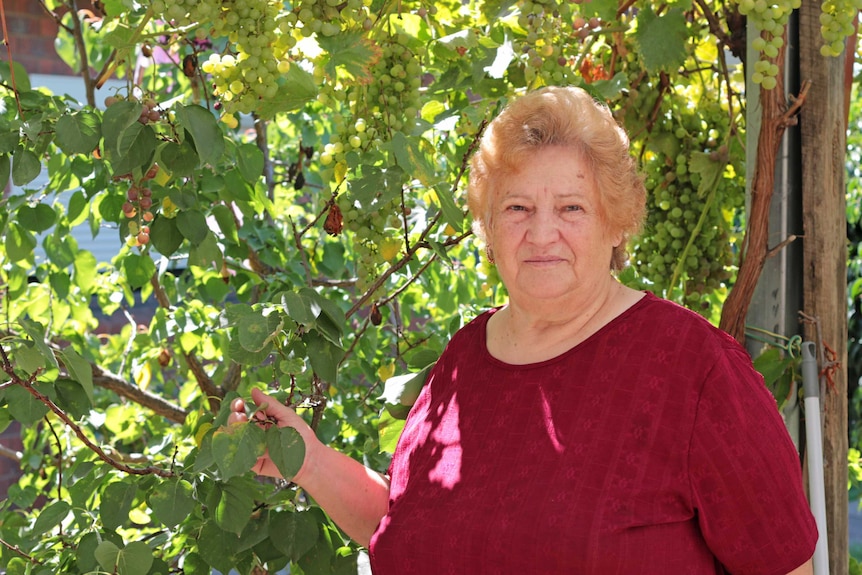 Older woman standing next to a grape vine in her backyard.