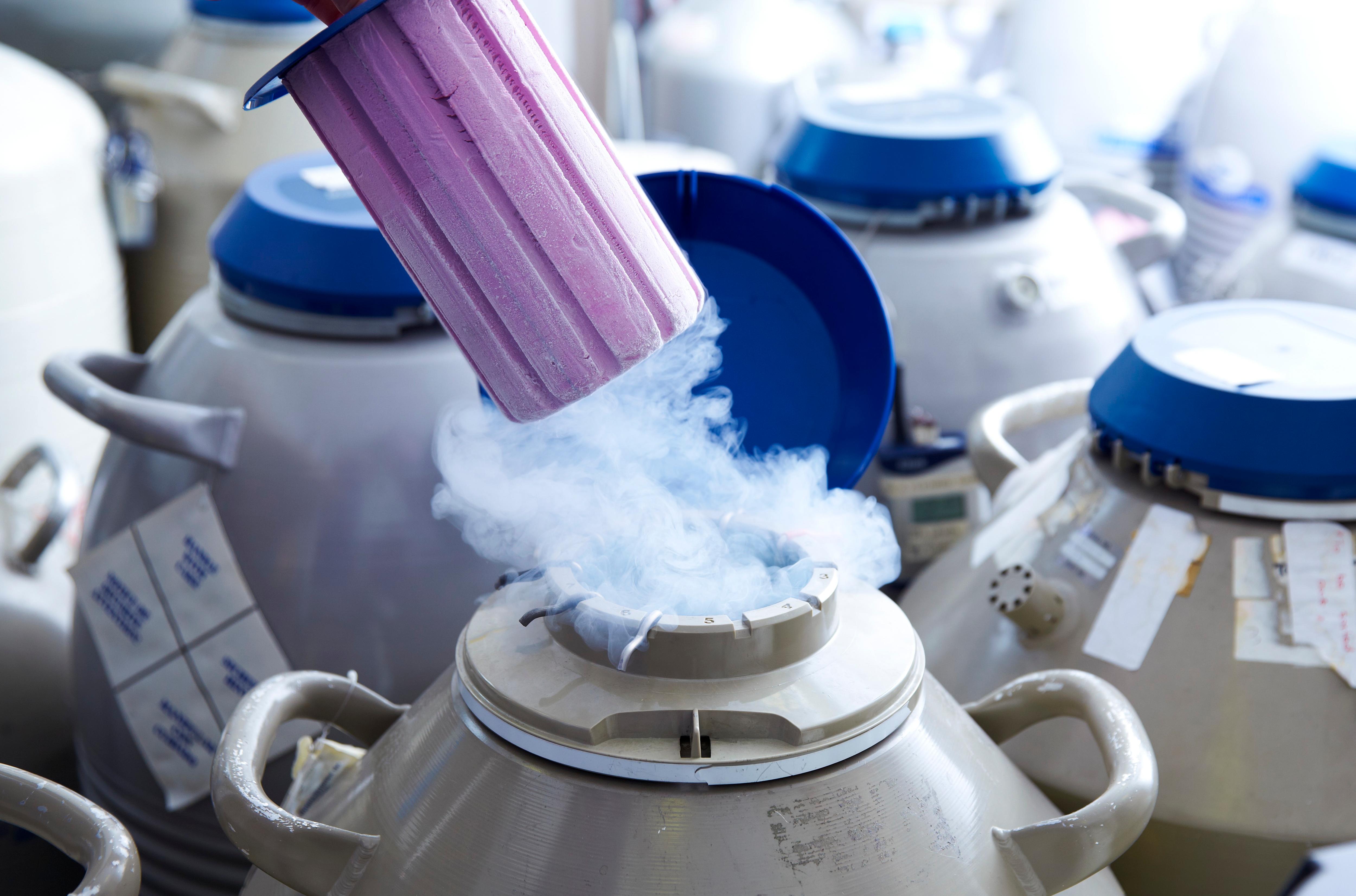 Elective egg freezing costs thousands, but most women never use them