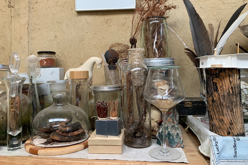 A collection of bottles, follage, specimens in jars  