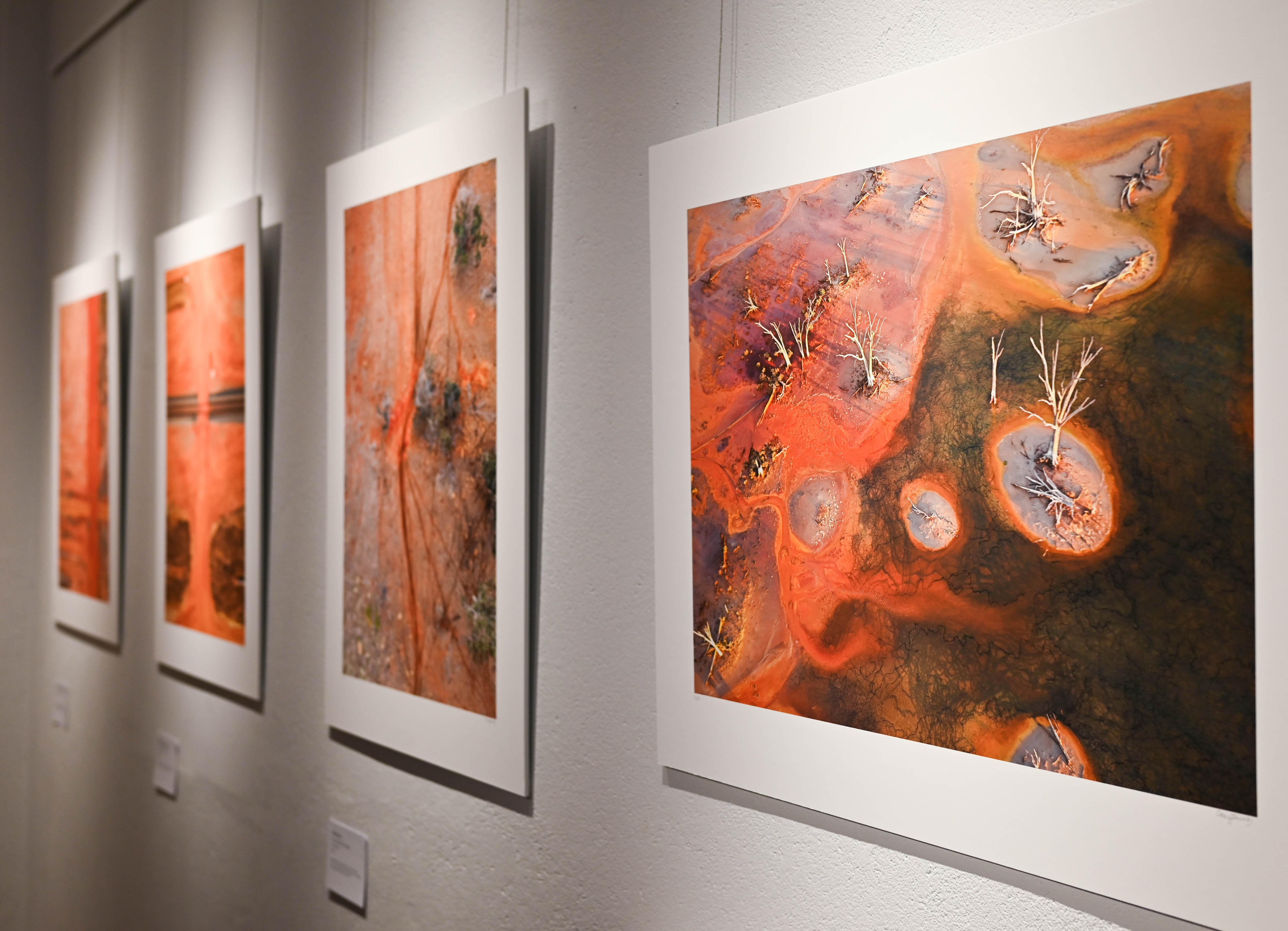 Photographs on a wall in a gallery.