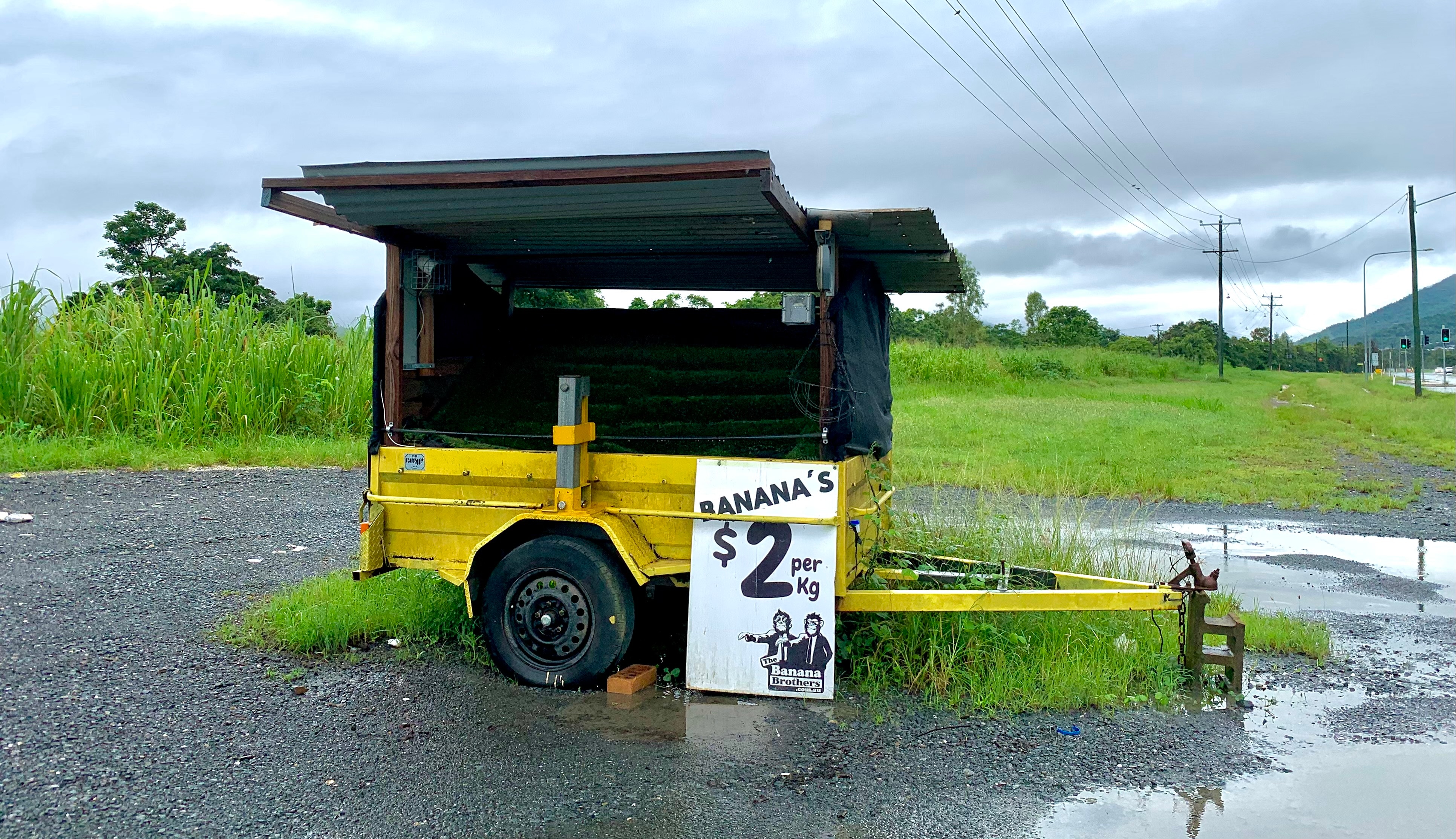North Queensland bananas selling at a discount despite flooding