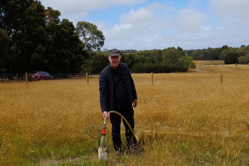 John Clarke watering a newly-planted tree with a hose