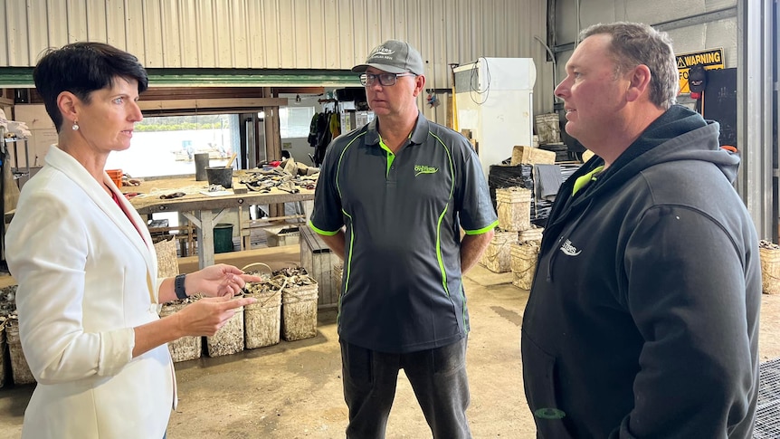 A woman in a white jacket talks to two men in a shed in front of buckets of oysters.