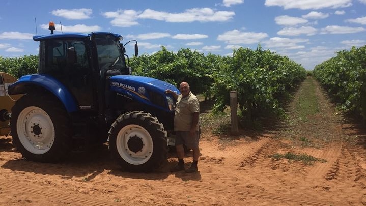 Winegrape grower Jack Papageorgiou in his vineyard standing next to tractor
