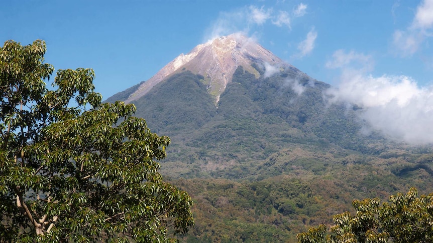 View of Mount Egon