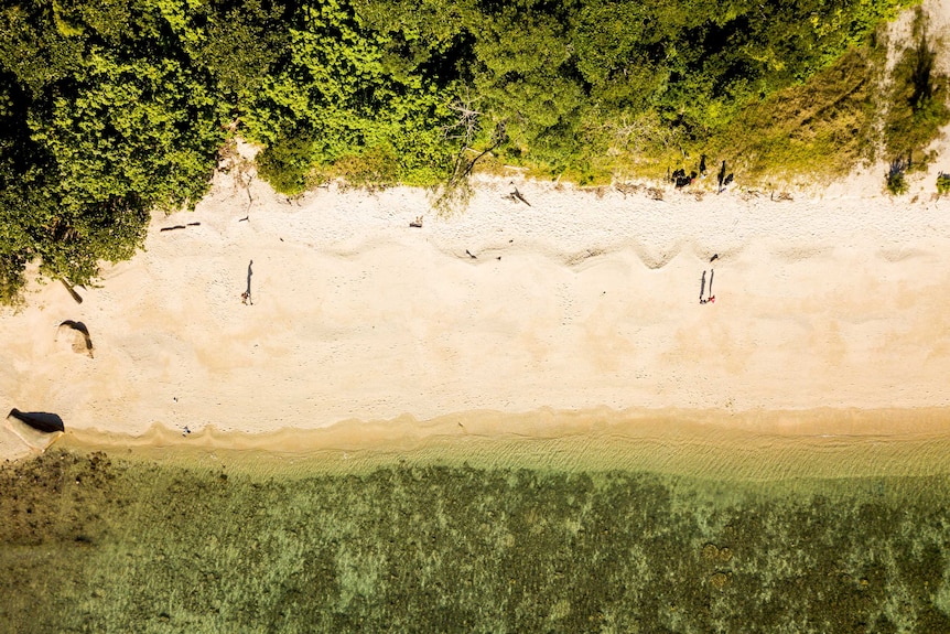 Aerial view of beach