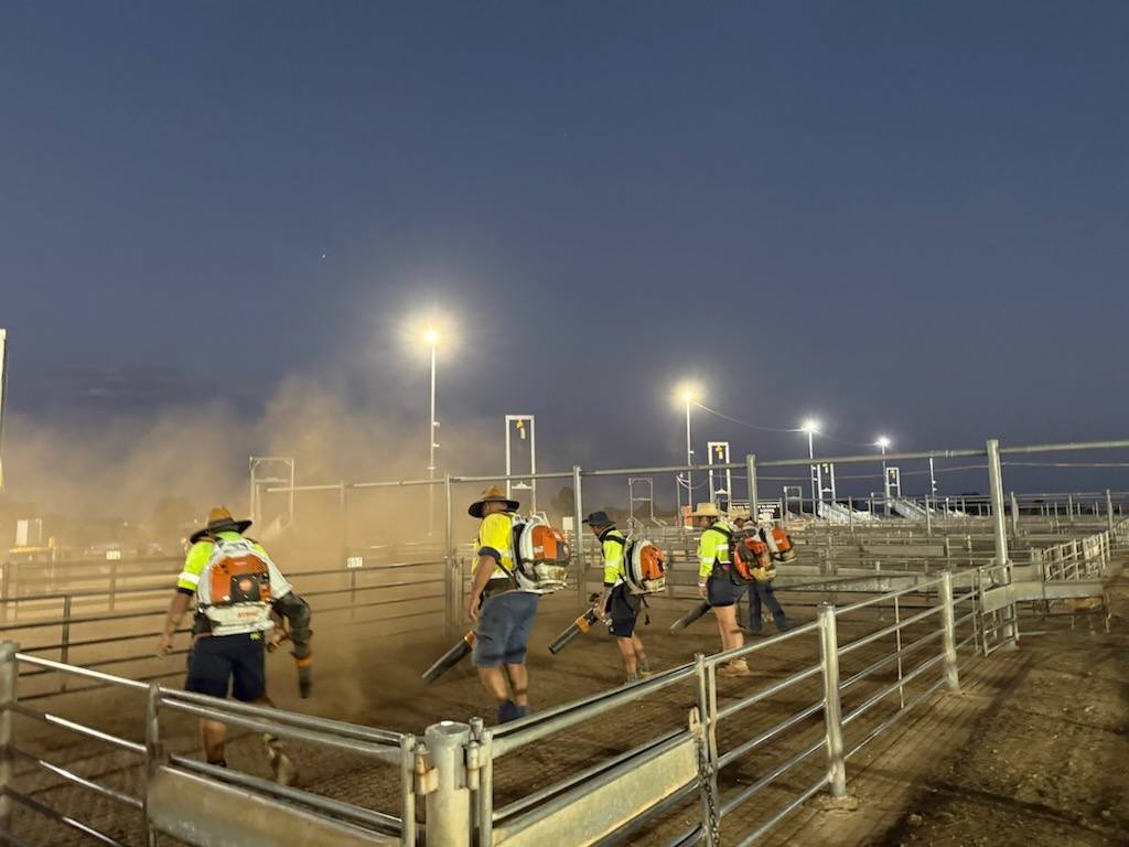 Grape sunscreen and chicken sprinklers help farmers beat the heat