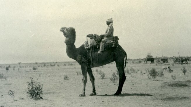 Sultan Aziz on a camel at Yantera Station.