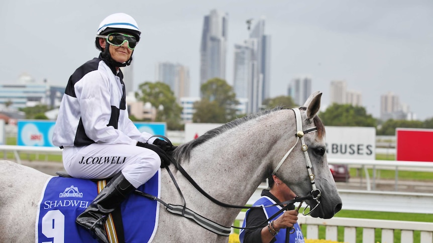 Jockey Jillian Colwell on purebred Arabian mare Aloha Natalis.