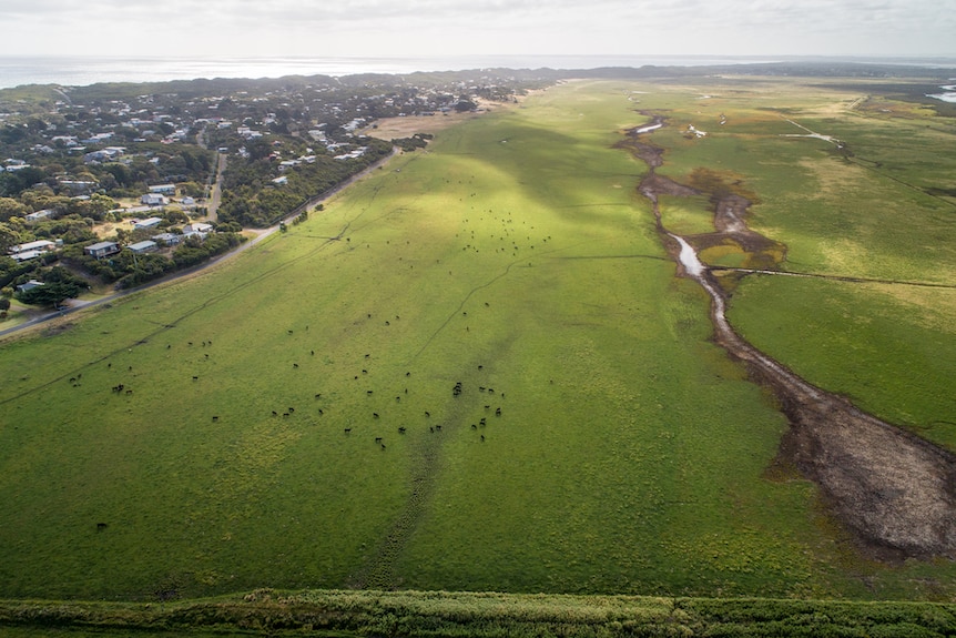 Farmland seen from above.