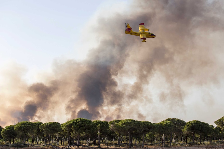 A yellow and red firefighting plane flies in heavy smoke above a forest fire.